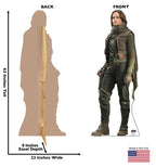 Jyn Erso™ - Rogue One - Star Wars
 Lifesize Cardboard Cutout  dimensions