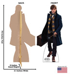 Newt Scamander- Fantastic Beasts and Where to Find Them
Lifesize Cardboard Cutout  dimensions