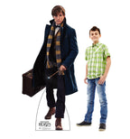 Newt Scamander- Fantastic Beasts and Where to Find Them
Lifesize Cardboard Cutout  with Model