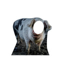 Pig Stand In
Lifesize Cardboard Cutout