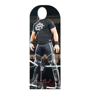 Seth Rollins Standin