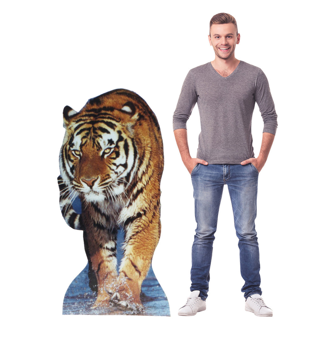 Tiger Lifesize Cardboard Cutout Dimensions