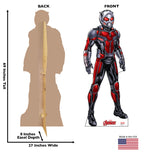 Ant-Man Adventure Cutout
