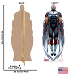 Falcon Standee for Fans