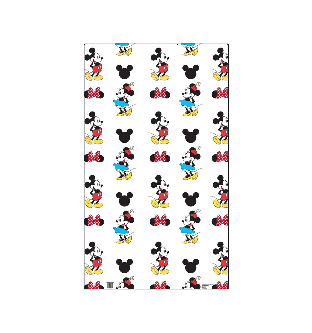 Mickey and Minnie Stand-Up Fun