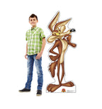 Wile E. Coyote Lifesize Cardboard Cutout