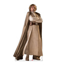 Luke Skywalker Cardboard Hero