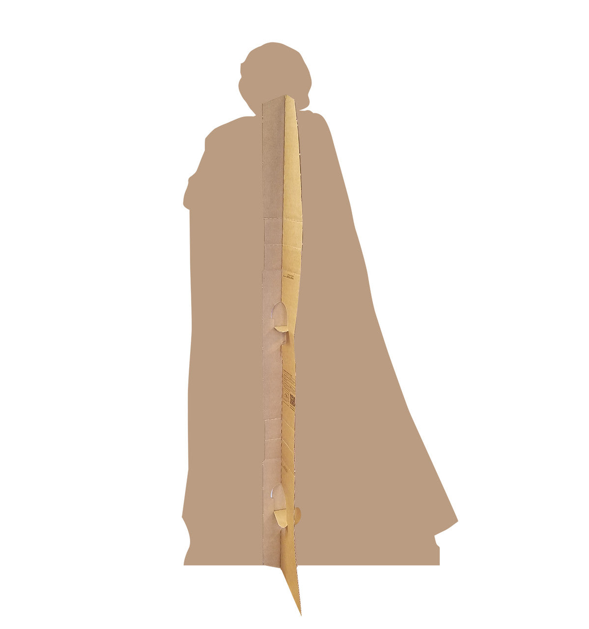 Luke Skywalker Cardboard Hero