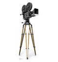 Hollywood Camera Standup