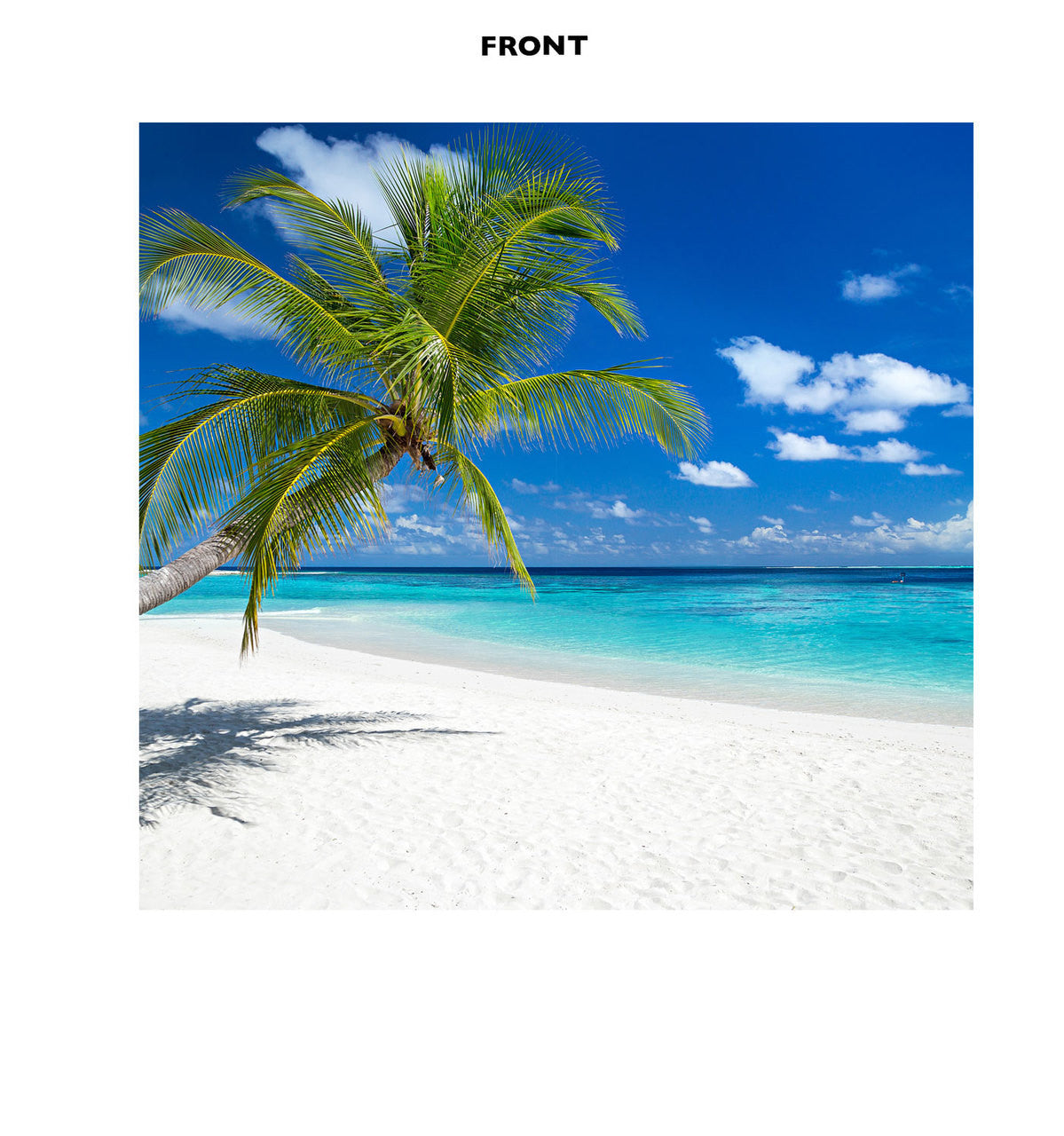 Sunny Tropical Paradise Standup