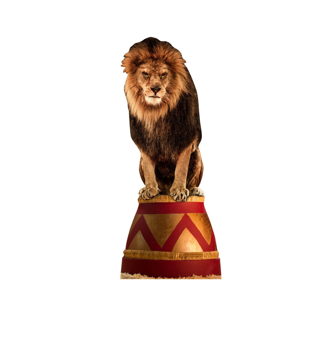 Circus Lion Standup