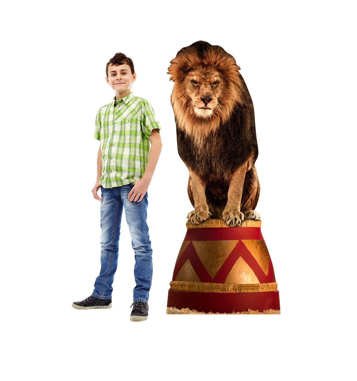 Circus Lion Standup