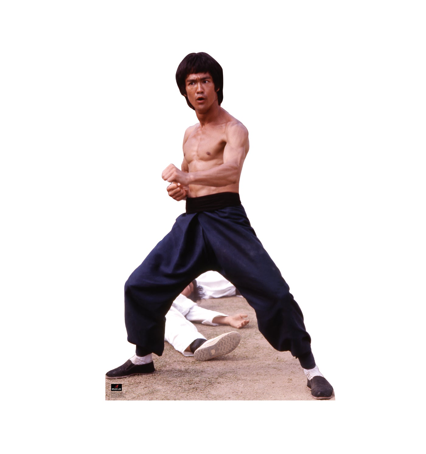 Bruce Lee