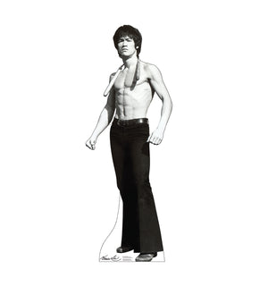 Bruce Lee (game)