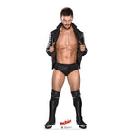 Finn Balor WWE
Lifesize Cardboard Cutout 2