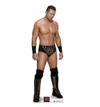 The MIZ - WWE
Lifesize Cardboard Cutout
