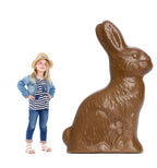 Delightfully Sweet Chocolate Bunny Cutout