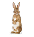 Adorable Bunny Rabbit Standee
