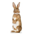 Adorable Bunny Rabbit Standee