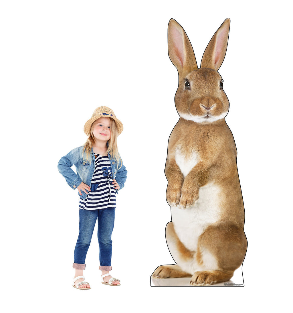 Adorable Bunny Rabbit Standee