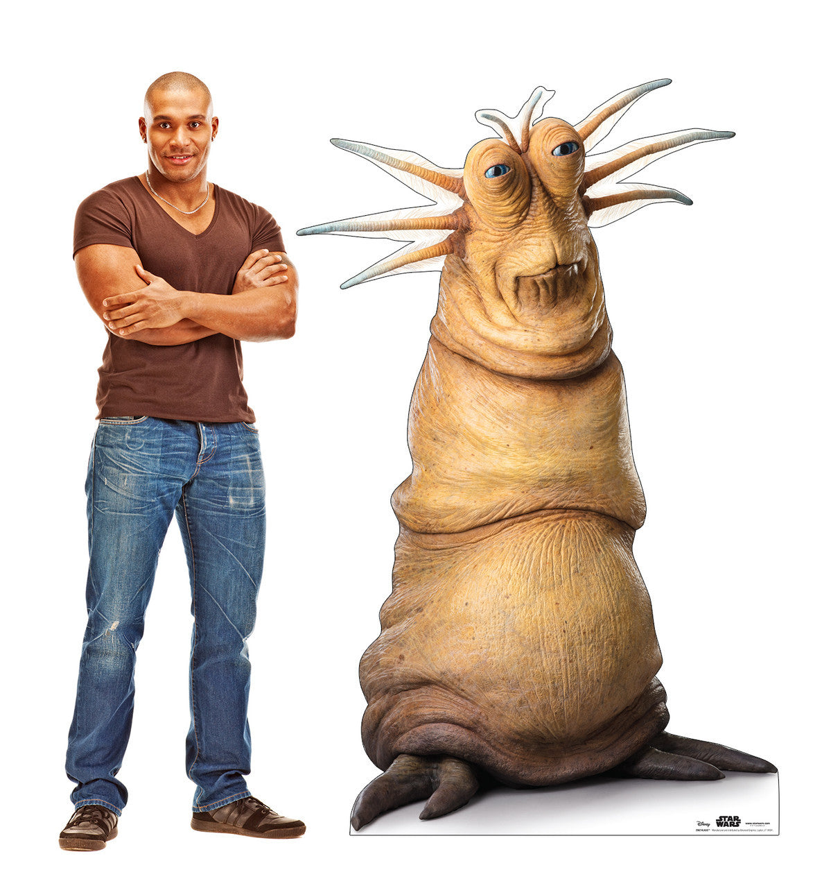 Klaud Cardboard Standup - A Stellar Addition!