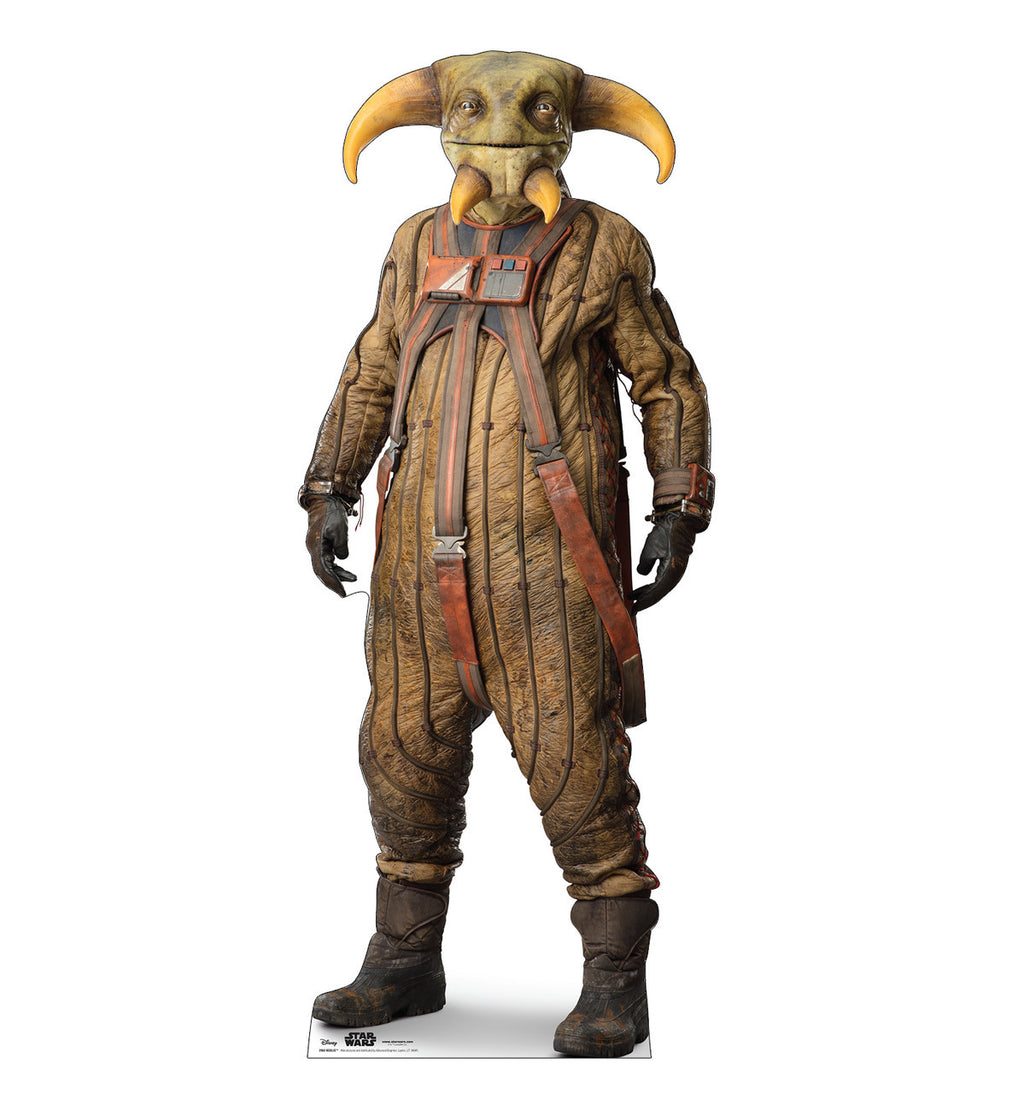 Star Wars IX Lifesize Cutout