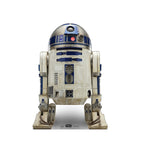 R2-D2 Life-Size Cardboard Standee