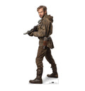 Star Wars Resistance Trooper Lifesize Cutout