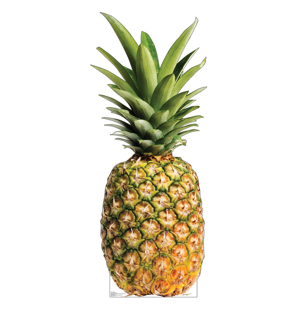 Pineapple Party Cutout
