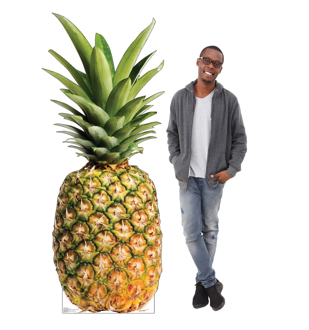 Pineapple Party Cutout