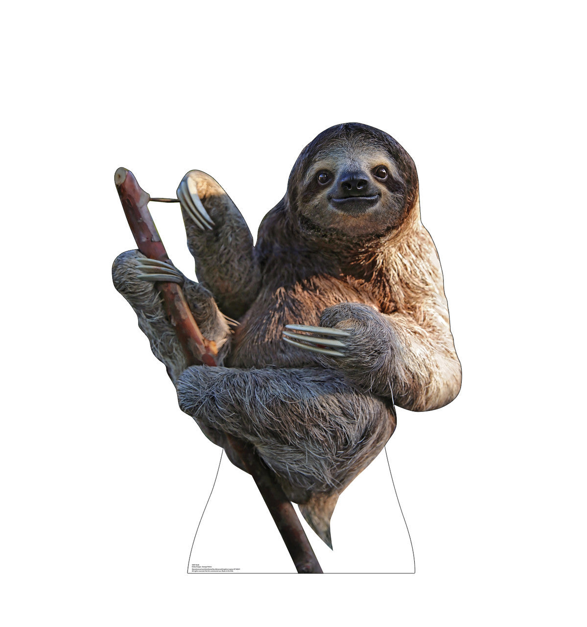 Chill Sloth Lifesize Cutout