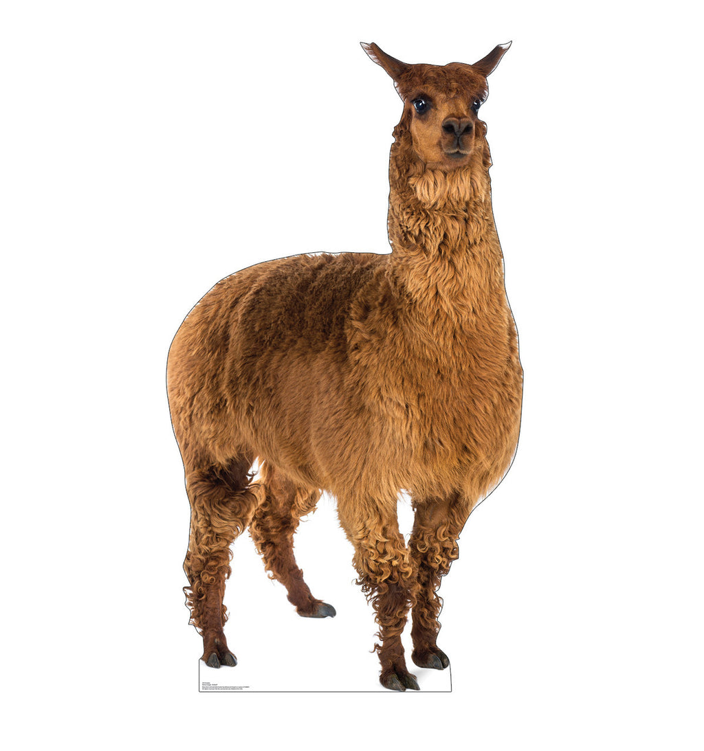 Whimsical Llama Life-Size Cutout