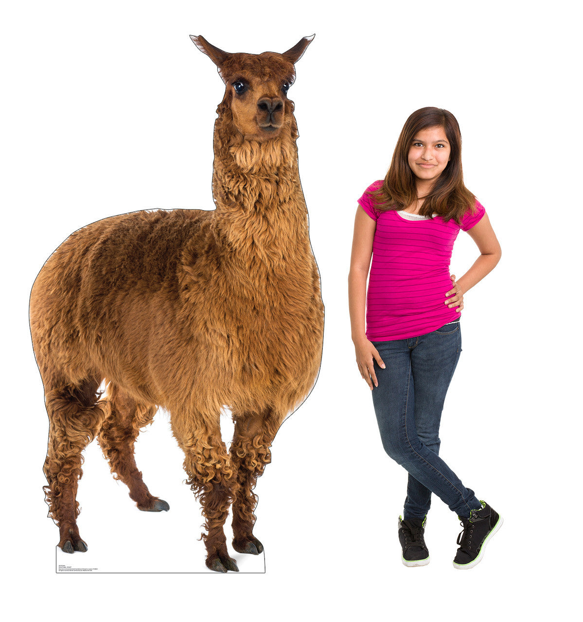 Whimsical Llama Life-Size Cutout
