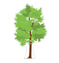 Tree Lifesize Standee