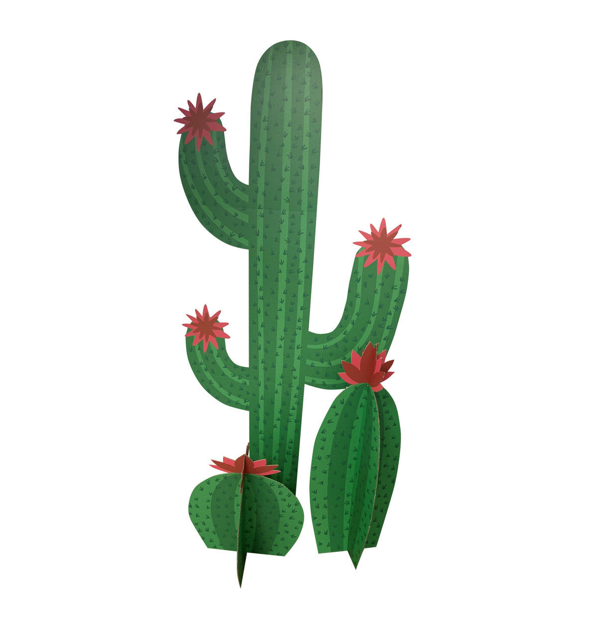Delightful 3D Cactus Standee Duo