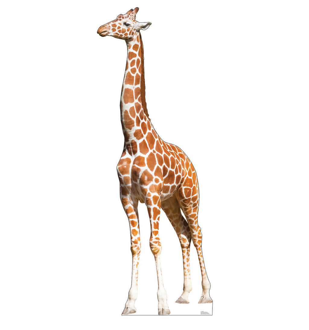 Whimsical Giraffe Cutout