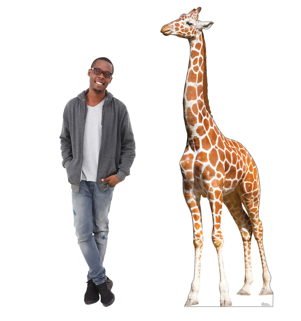 Whimsical Giraffe Cutout