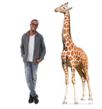 Whimsical Giraffe Cutout