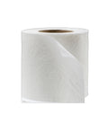 Toilet Paper Roll Standee