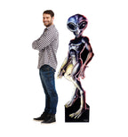 Roswell Male Alien Lifesize Cardboard Cutout with Model