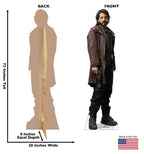 Cassian Andor Standup Delight