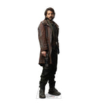 Cassian Andor Standup Delight