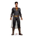 Eugene Choi Cardboard Standee - Shazam 2 Edition