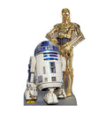 R2D2 and C3PO Star Wars Lifesize Cardboard Cutout