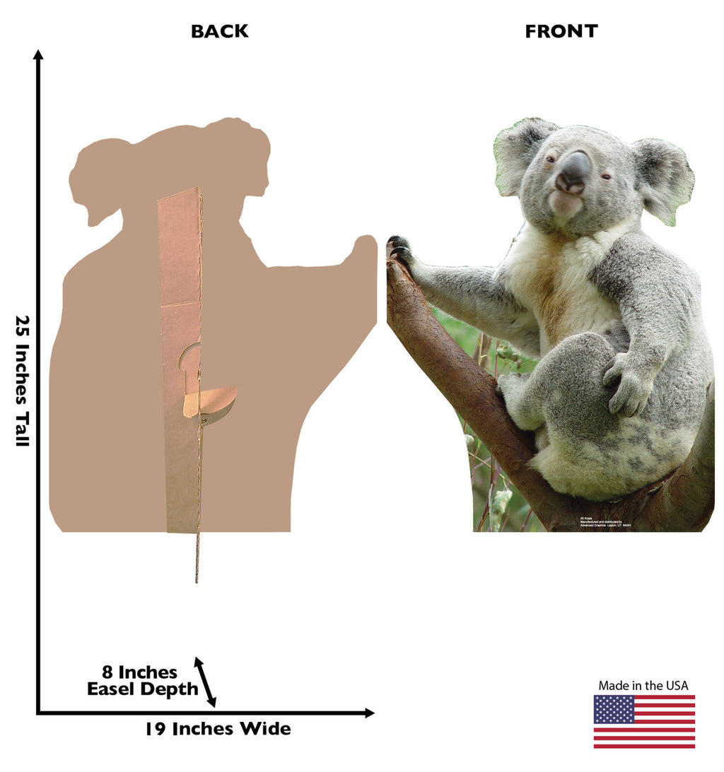 Koala Lifesize cardboard cutout dimensions