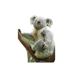 Koala Lifesize cardboard cutout