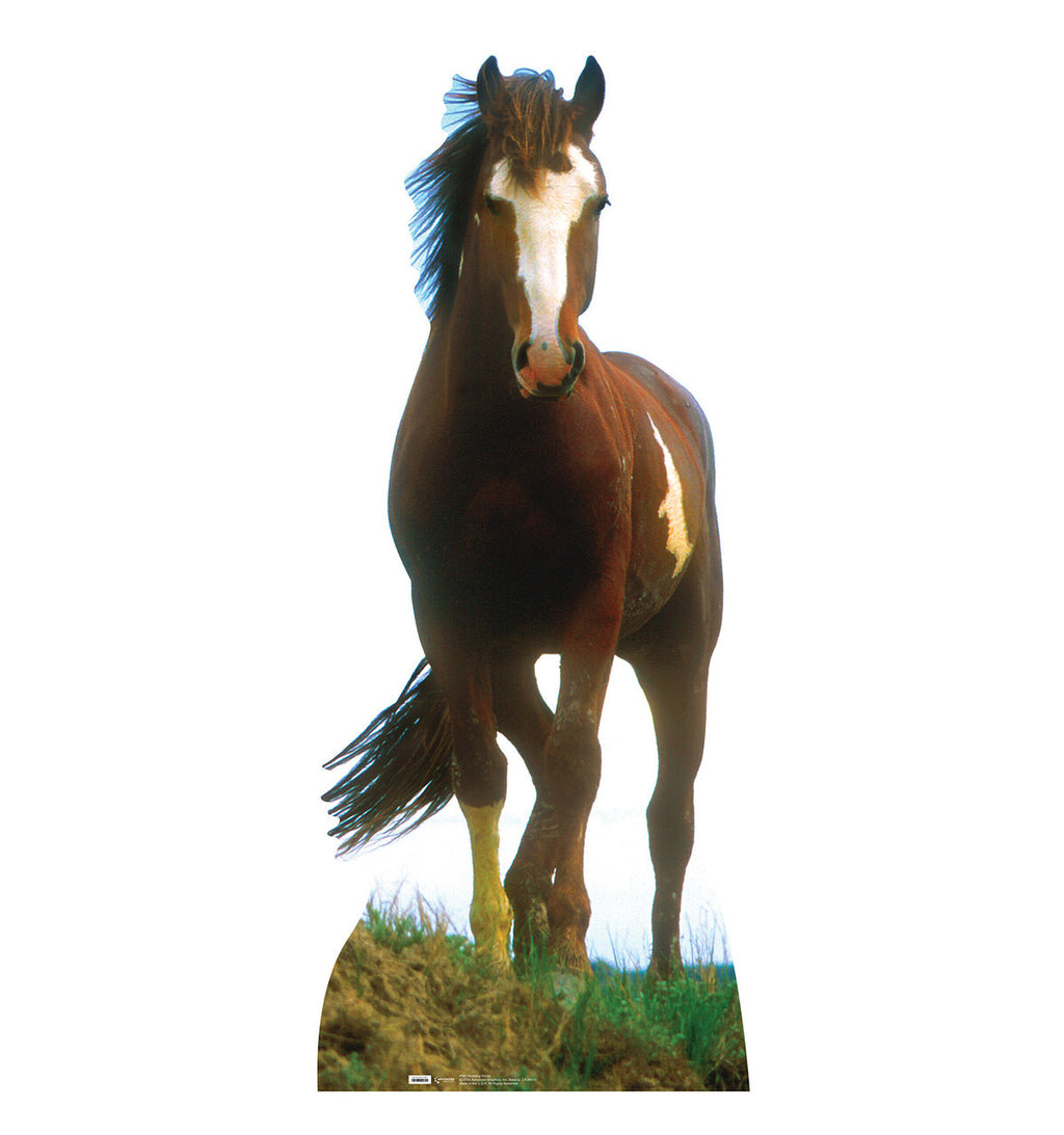 Mustang Horse Lifesize Cardboard Cutout