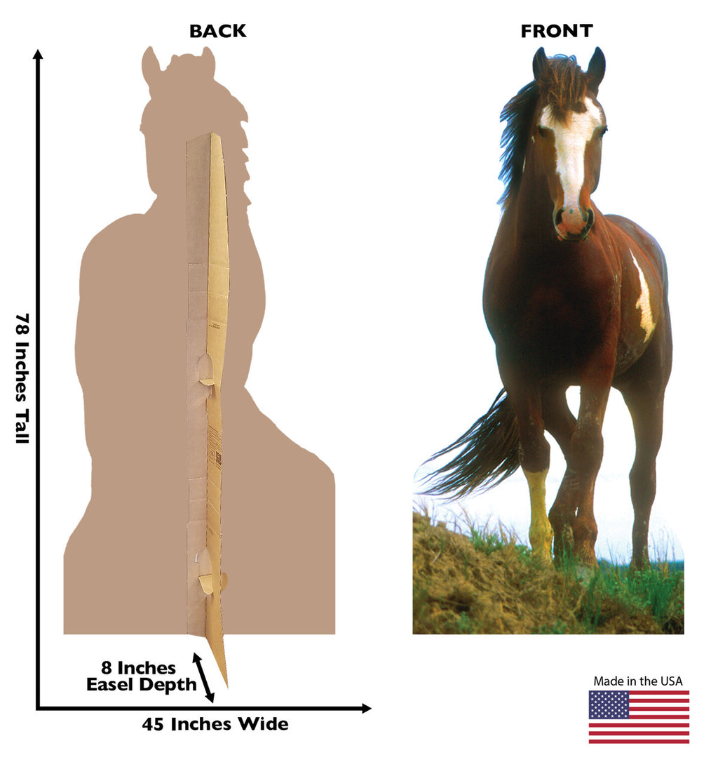 Mustang Horse Lifesize Cardboard Cutout Dimensions