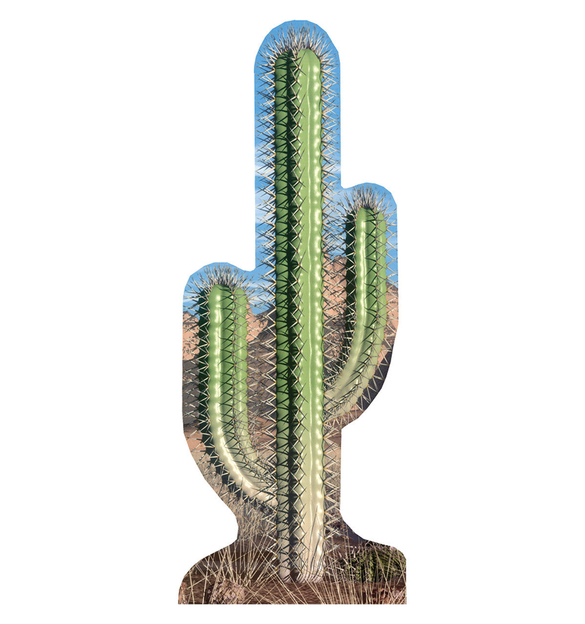 Cactus Cutout