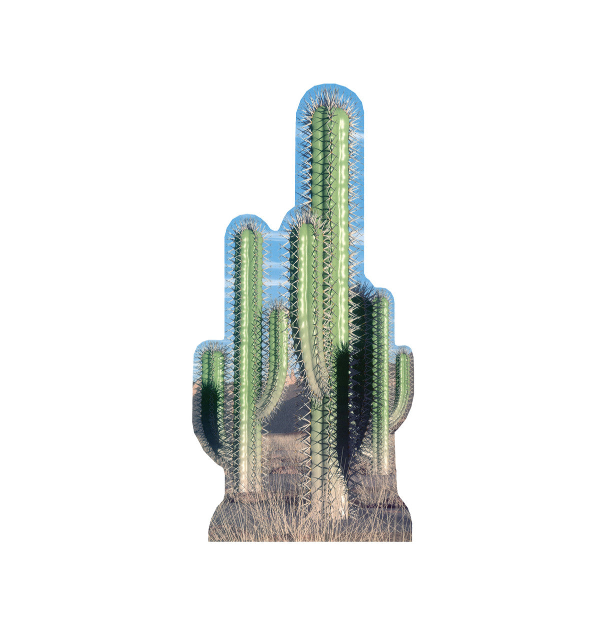 Desert Cactus Group Lifesize Cardboard Cutout